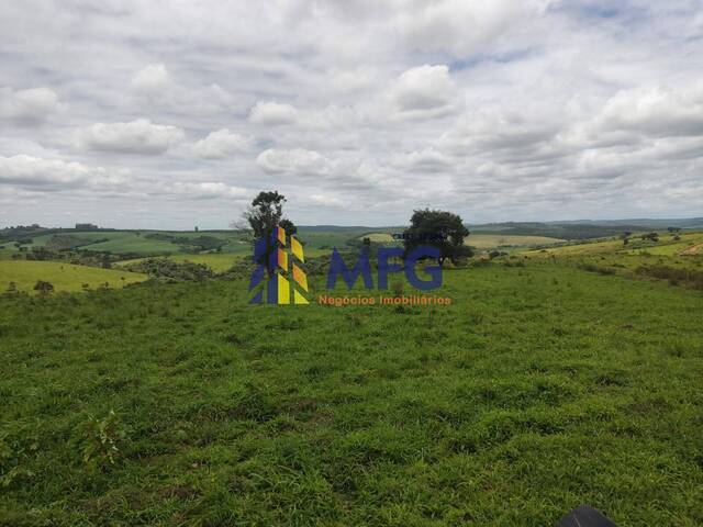 #15730 - Fazenda para Venda em Itapeva - SP - 3