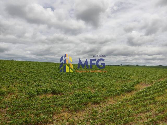 Fazenda para Venda em Itapeva - 5