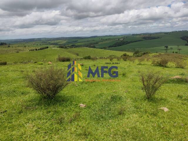 Fazenda para Venda em Itapeva - 4