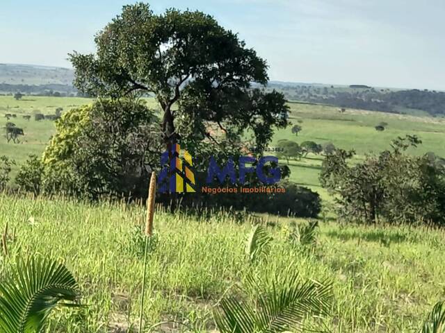 Fazenda para Venda em Serranópolis - 2
