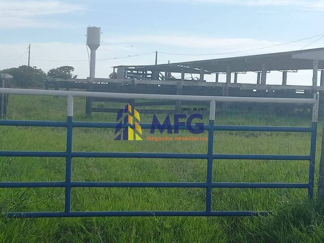 Fazenda para Venda em Serranópolis - 4