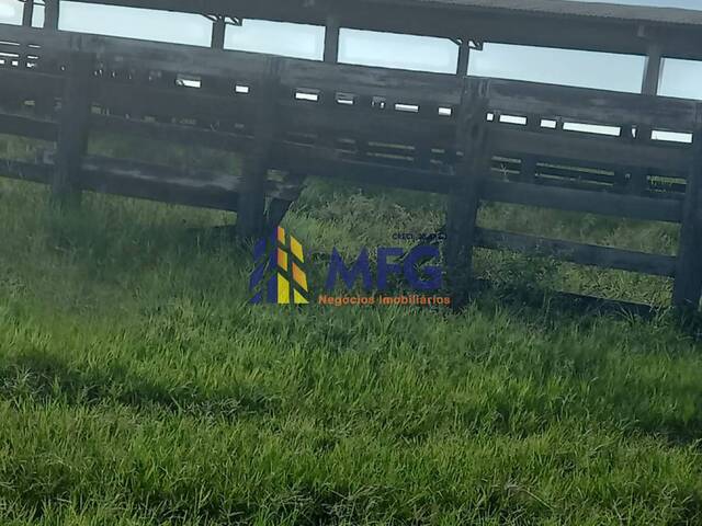 Fazenda para Venda em Serranópolis - 3