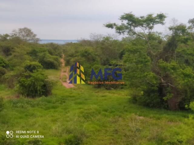 #15755 - Fazenda para Venda em Presidente Epitácio - SP - 2