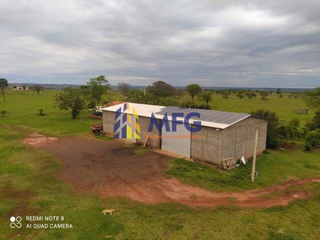 #15755 - Fazenda para Venda em Presidente Epitácio - SP - 3