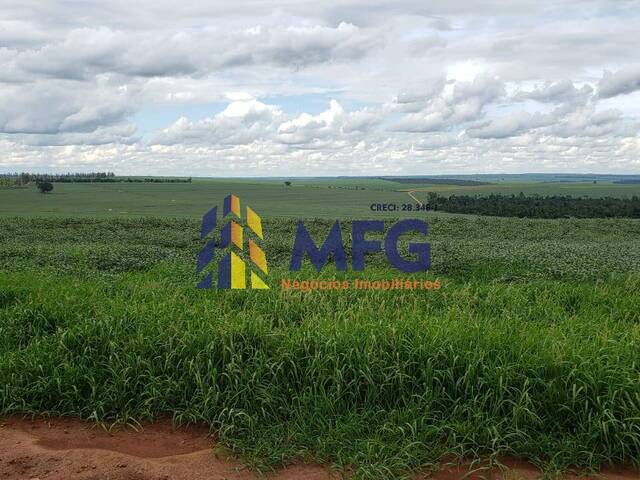 Fazenda para Venda em Assis - 3