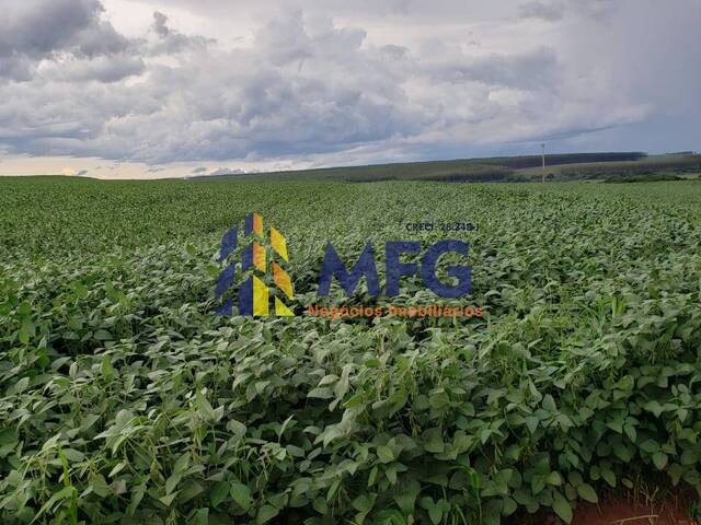 Fazenda para Venda em Assis - 4