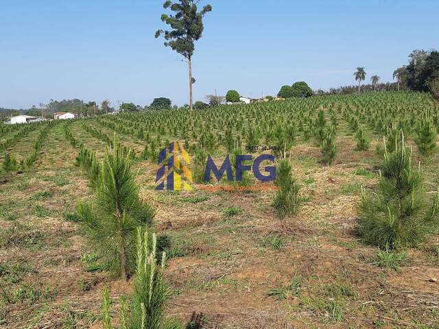 #16384 - Terreno para Venda em Riversul - SP - 2