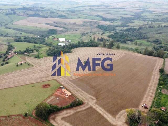 #16861 - Fazenda para Venda em Siqueira Campos - PR - 3