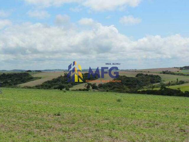 #16867 - Fazenda para Venda em Capão Bonito - SP - 2