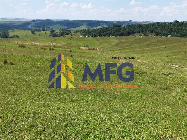 #17077 - Fazenda para Venda em São José da Boa Vista - PR - 3