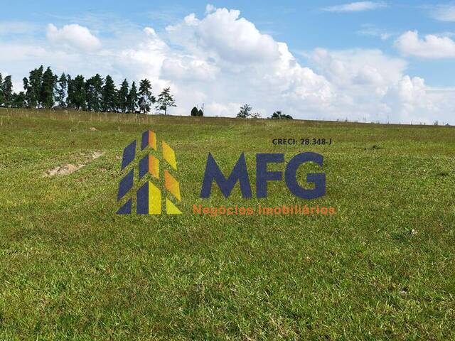 Fazenda para Venda em São José da Boa Vista - 4