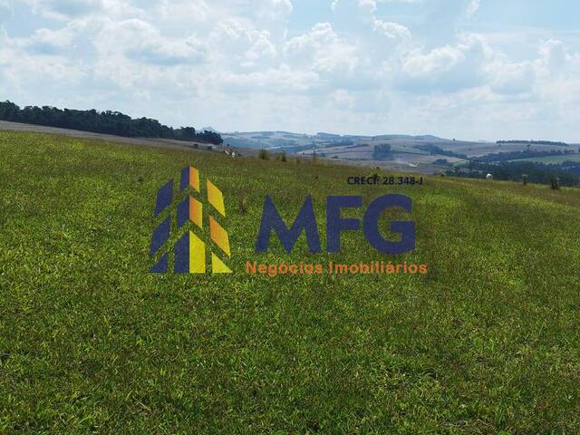 Fazenda para Venda em São José da Boa Vista - 5