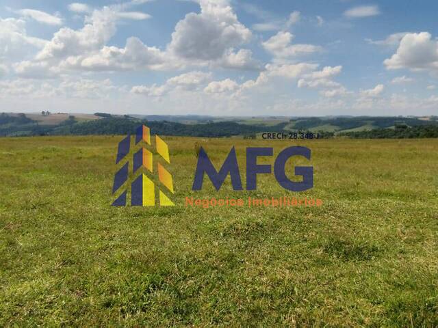 #17077 - Fazenda para Venda em São José da Boa Vista - PR - 2