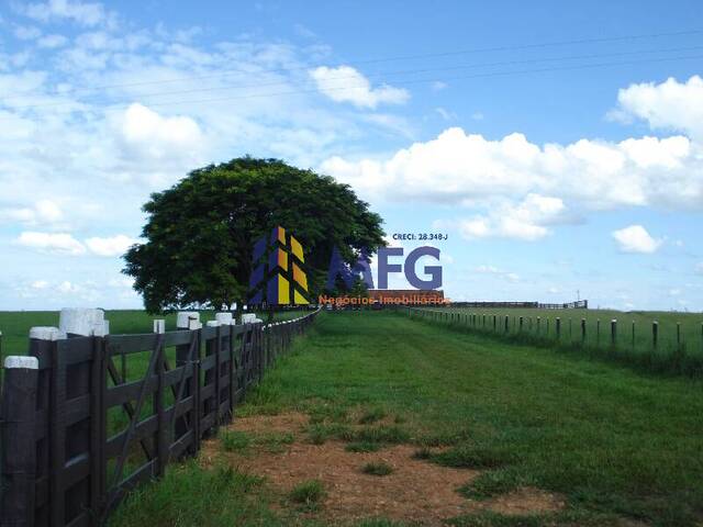 Fazenda para Venda em Pompéia - 5