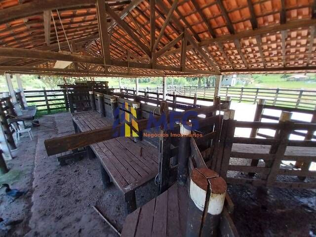 Fazenda para Venda em Roseira - 5