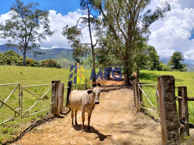 #17283 - Fazenda para Venda em Arapeí - SP - 2