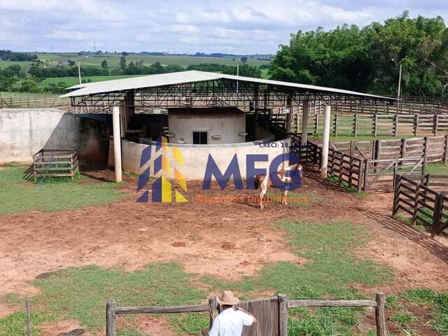 Fazenda para Venda em Penápolis - 5