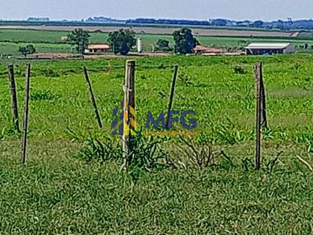 Fazenda para Venda em Penápolis - 2