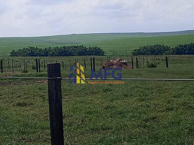 Fazenda para Venda em Penápolis - 3