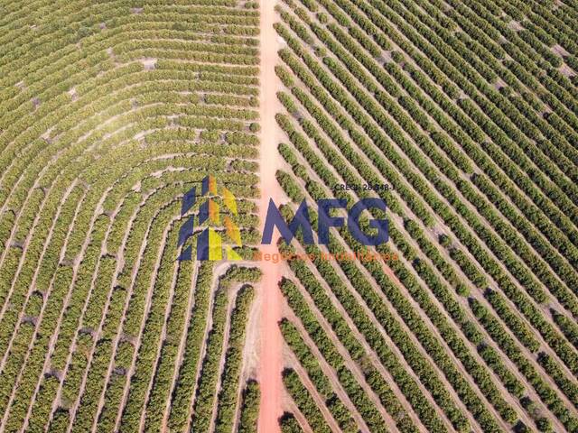 Venda em Área Rural de Franca - Franca