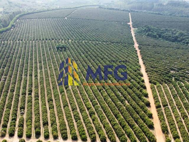 #17344 - Fazenda para Venda em Franca - SP - 3