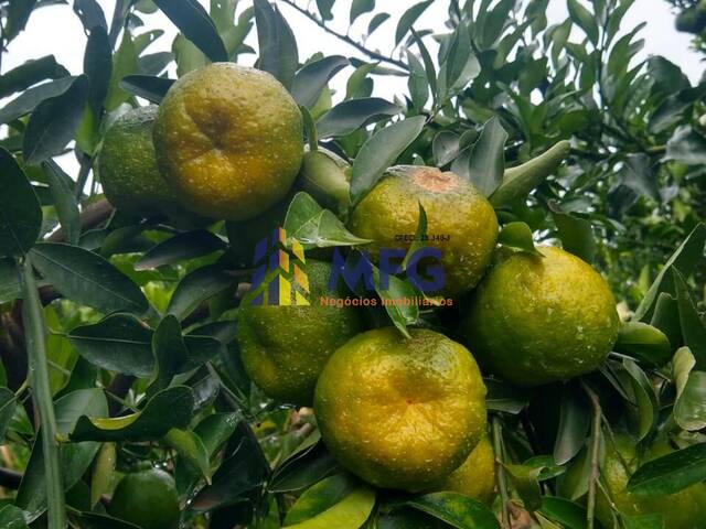 Fazenda para Venda em Araraquara - 2