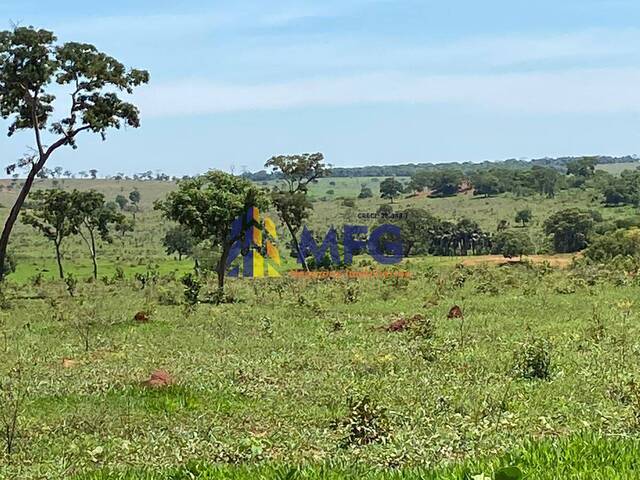 #17373 - Fazenda para Venda em Aparecida do Taboado - MS - 3
