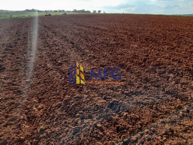 Fazenda para Venda em Lins - 2