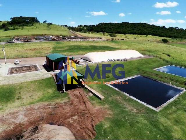#17597 - Fazenda para Venda em Maringá - PR - 3