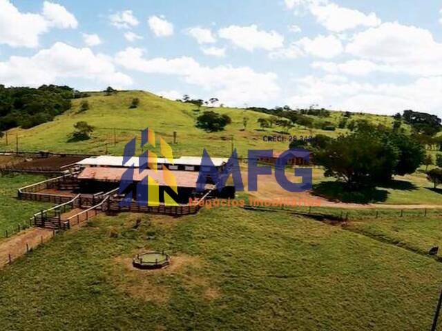 Fazenda para Venda em Maringá - 5