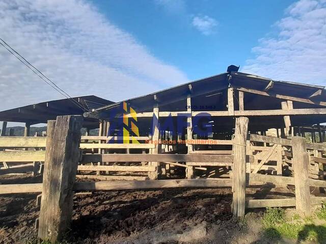 #17664 - Fazenda para Venda em Sete Barras - SP - 3