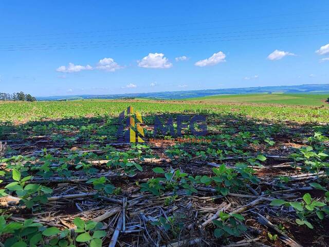 Fazenda para Venda em Piraju - 2
