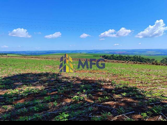 Fazenda para Venda em Piraju - 3