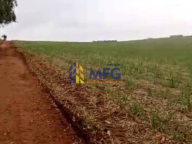 Fazenda para Venda em Pirassununga - 3