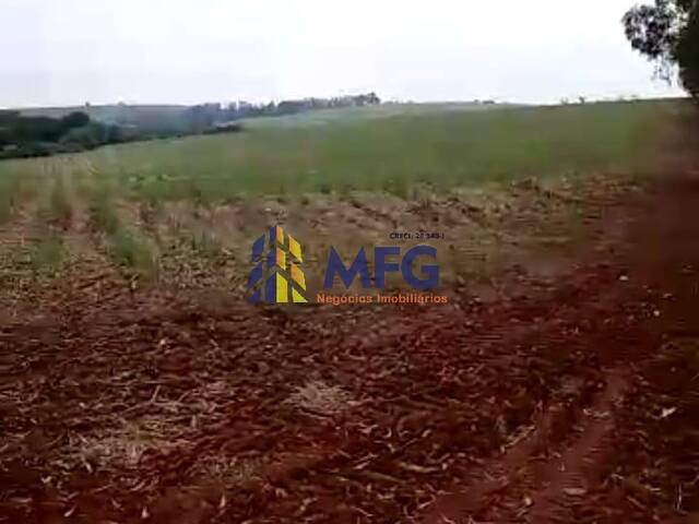 Fazenda para Venda em Pirassununga - 2