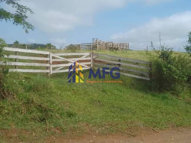 Sítio para Venda em Angatuba - 1