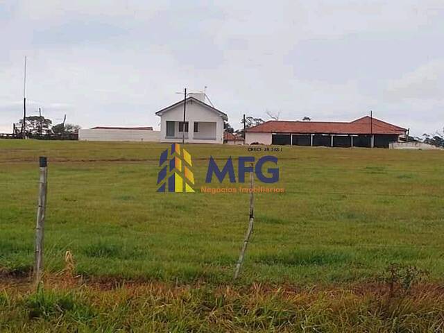 Fazenda para Venda em Pereira Barreto - 1