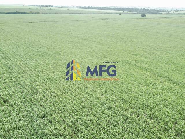 Fazenda para Venda em Icém - 3