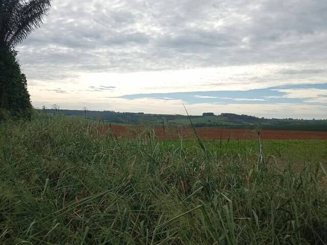 Fazenda para Venda em Franca - 3