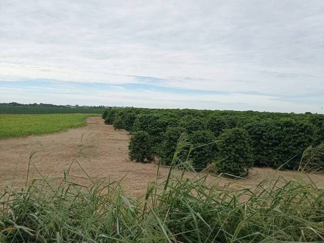Fazenda para Venda em Franca - 4
