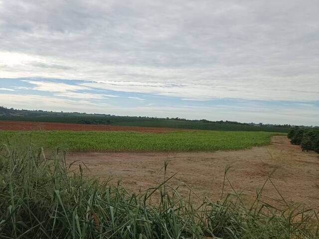 Fazenda para Venda em Franca - 5